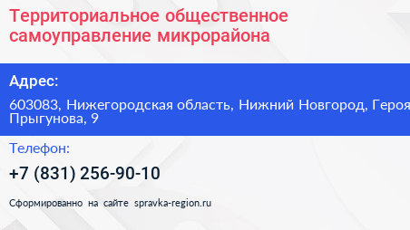 Территориальное общественное самоуправление микрорайона - визитка