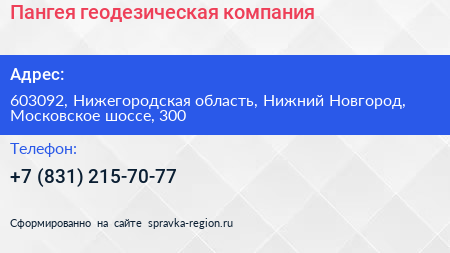 Пангея геодезическая компания - визитка