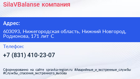 SilaVBalanse компания - визитка