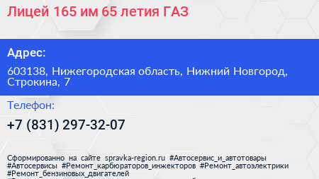 Лицей 165 им 65 летия ГАЗ - визитка