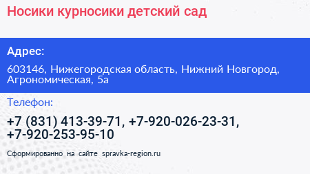 Носики курносики детский сад - визитка