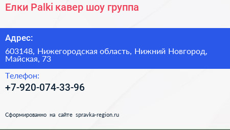 Елки Palki кавер шоу группа - визитка