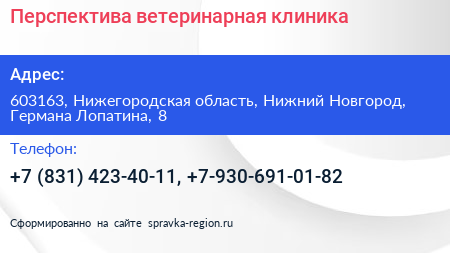 Перспектива ветеринарная клиника - визитка