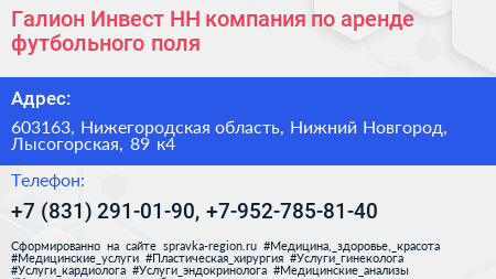 Галион Инвест НН компания по аренде футбольного поля - визитка