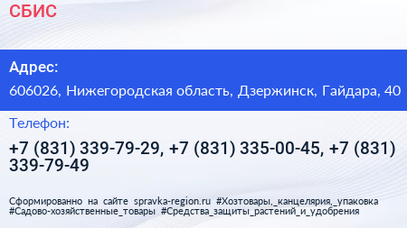 СБИС - визитка