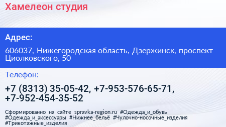 Хамелеон студия - визитка