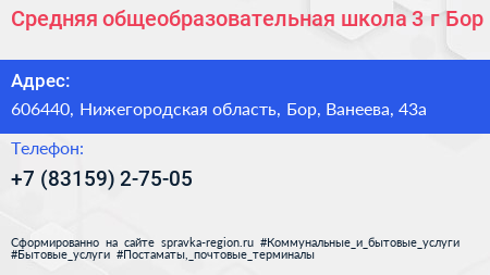 Средняя общеобразовательная школа 3 г Бор - визитка