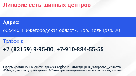 Линарис сеть шинных центров - визитка