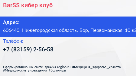 BarSS кибер клуб - визитка