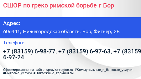 СШОР по греко римской борьбе г Бор - визитка