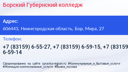 Борский Губернский колледж - визитка