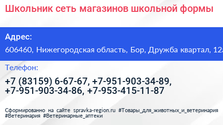 Школьник сеть магазинов школьной формы - визитка