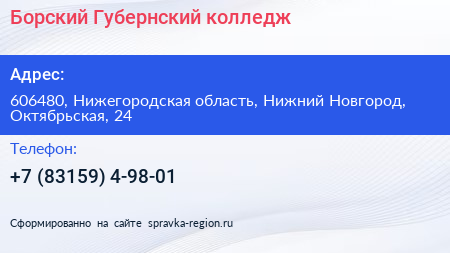 Борский Губернский колледж - визитка