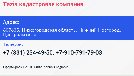 Tezis кадастровая компания - визитка