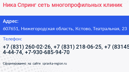 Ника Спринг сеть многопрофильных клиник - визитка