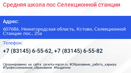 Средняя школа пос Селекционной станции - визитка