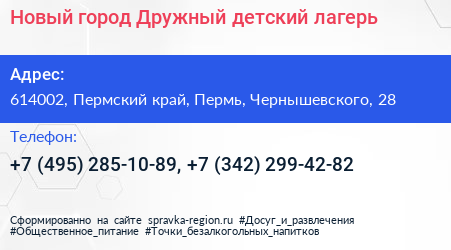 Новый город Дружный детский лагерь - визитка