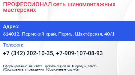 ПРОФЕССИОНАЛ сеть шиномонтажных мастерских - визитка