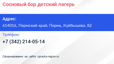 Сосновый бор детский лагерь - визитка