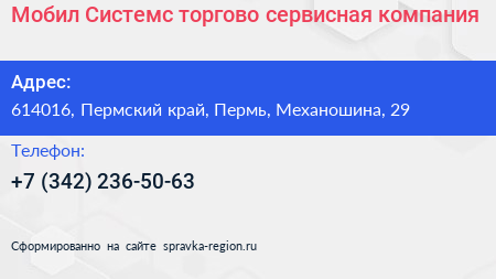 Мобил Системс торгово сервисная компания - визитка