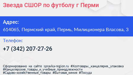 Звезда СШОР по футболу г Перми - визитка