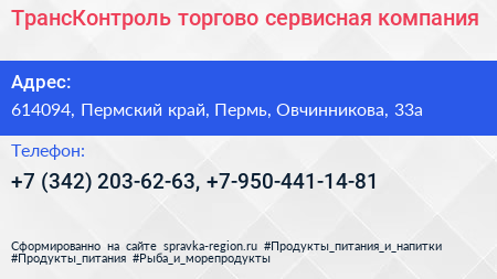 ТрансКонтроль торгово сервисная компания - визитка