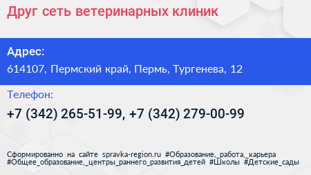 Друг сеть ветеринарных клиник - визитка