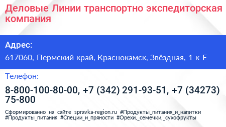 Деловые Линии транспортно экспедиторская компания - визитка
