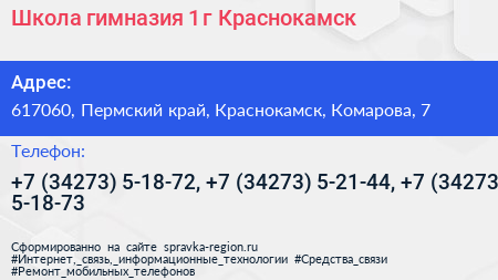 Школа гимназия 1 г Краснокамск - визитка