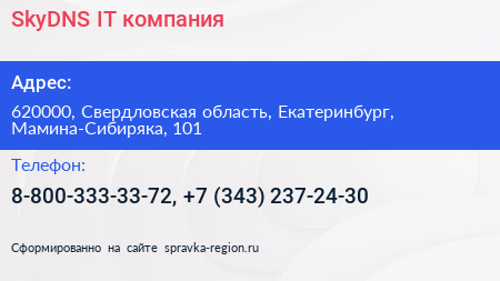 SkyDNS IT компания - визитка