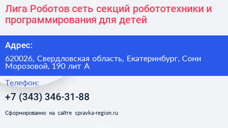 Лига Роботов сеть секций робототехники и программирования для детей - визитка