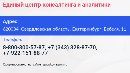 Единый центр консалтинга и аналитики - визитка