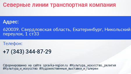 Северные линии транспортная компания - визитка