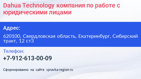 Dahua Technology компания по работе с юридическими лицами - визитка