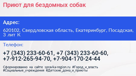 Приют для бездомных собак - визитка