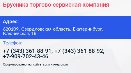 Брусника торгово сервисная компания - визитка