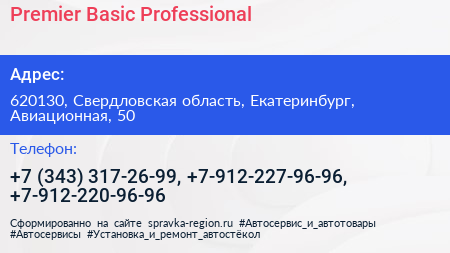 Premier Basic Professional - визитка