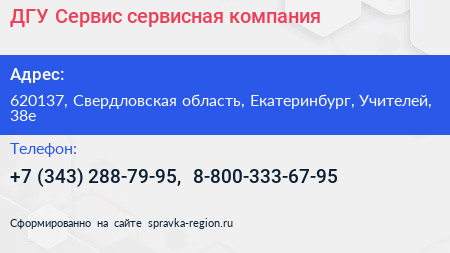 ДГУ Сервис сервисная компания - визитка