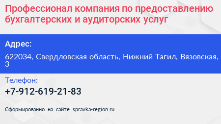 Профессионал компания по предоставлению бухгалтерских и аудиторских услуг - визитка