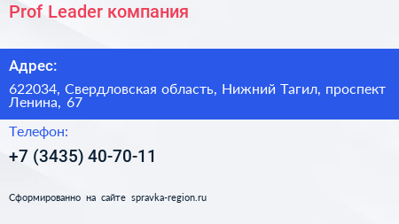 Prof Leader компания - визитка