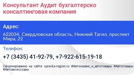 Консультант Аудит бухгалтерско консалтинговая компания - визитка