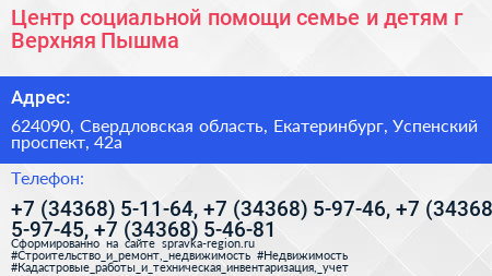 Центр социальной помощи семье и детям г Верхняя Пышма - визитка