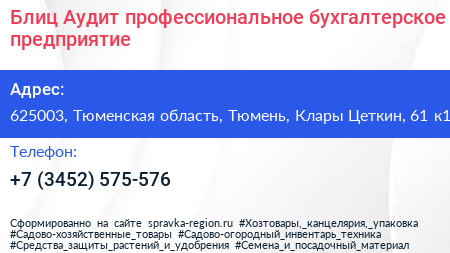 Блиц Аудит профессиональное бухгалтерское предприятие - визитка