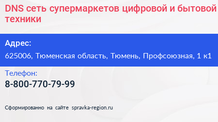 DNS сеть супермаркетов цифровой и бытовой техники - визитка