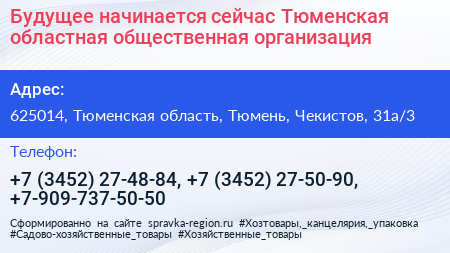 Будущее начинается сейчас Тюменская областная общественная организация - визитка