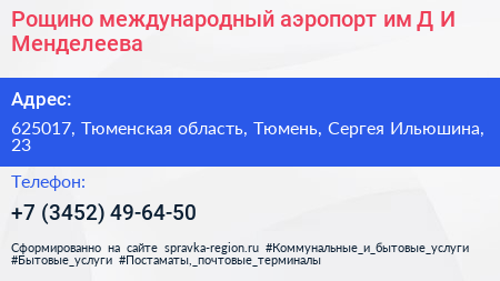 Рощино международный аэропорт им Д И Менделеева - визитка
