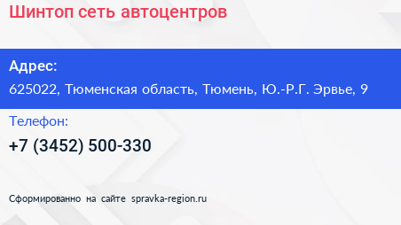 Шинтоп сеть автоцентров - визитка