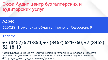 Экфи Аудит центр бухгалтерских и аудиторских услуг - визитка