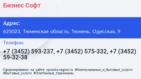 Бизнес Софт - визитка