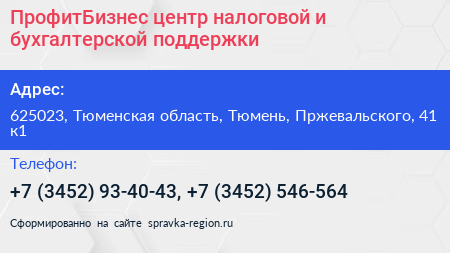 ПрофитБизнес центр налоговой и бухгалтерской поддержки - визитка